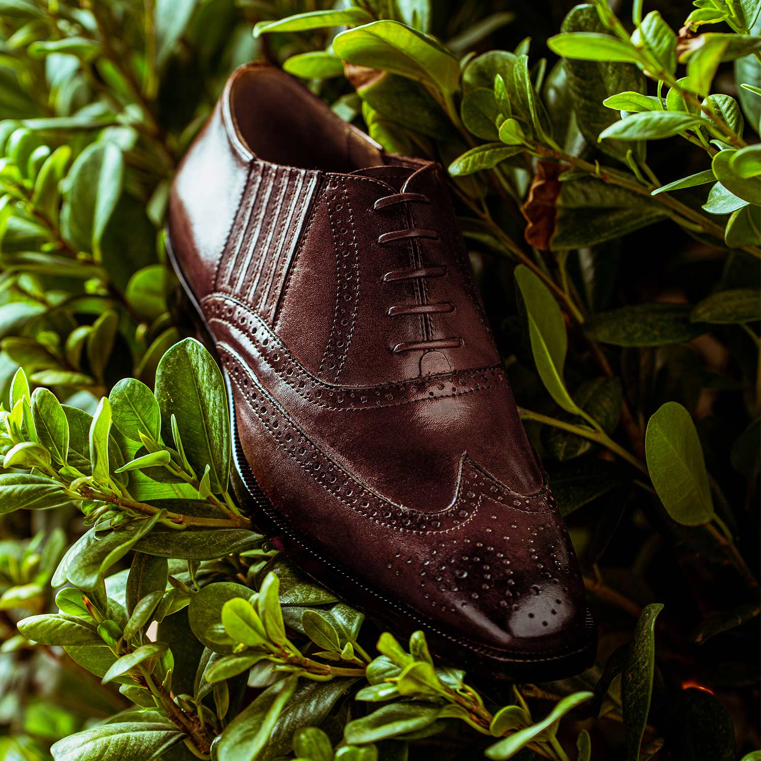 Saint Vincenzo Brown Leather Square Toe Lace Up Décor Shoes - Image 2
